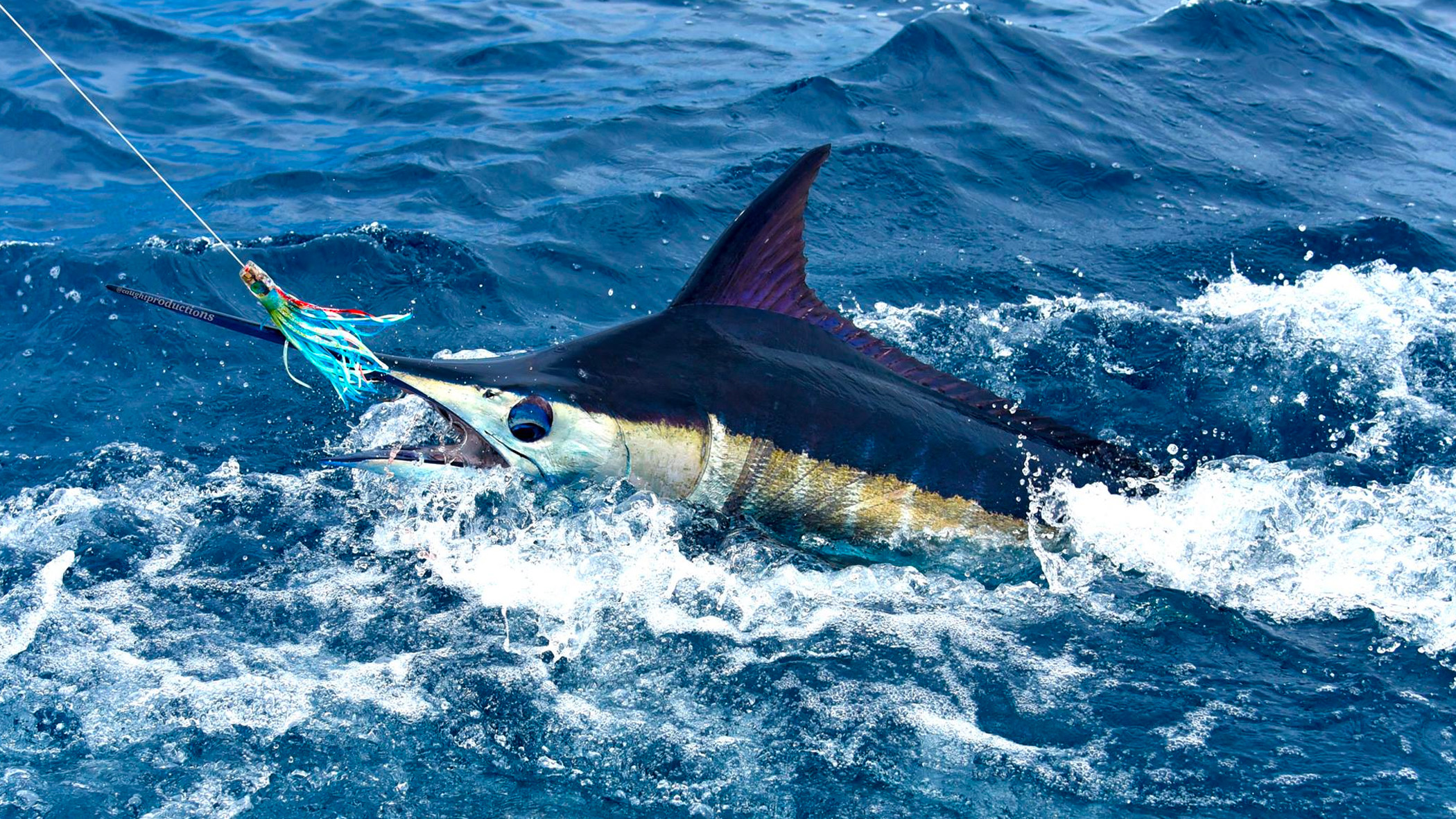 Deep Sea Fishing Tackle - Double Nickel Charters Costa Rica